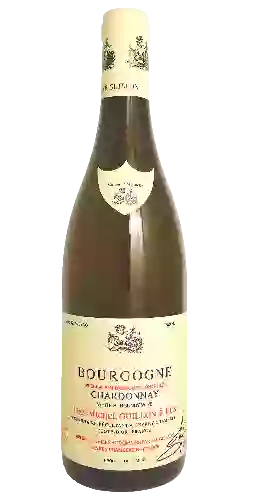 Wijnmakerij Jean-Michel Guillon - Bourgogne Chardonnay