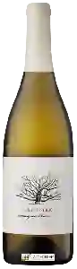 Wijnmakerij Klein Constantia - Glendirk Sauvignon Blanc