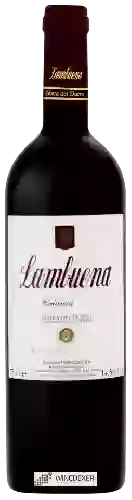 Wijnmakerij Lambuena - Crianza