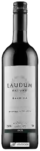 Wijnmakerij Laudum - Barrica