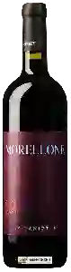 Wijnmakerij Le Caniette - Morellone