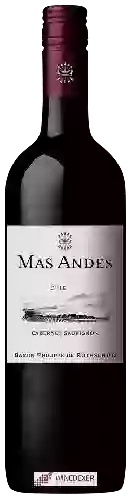 Wijnmakerij Mas Andes