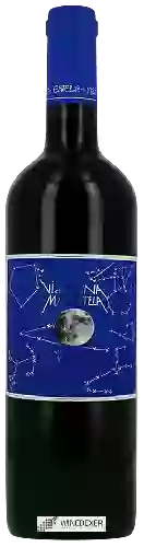 Wijnmakerij Mas Estela - Vi de Lluna