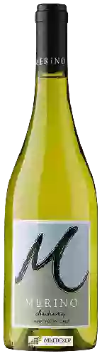 Wijnmakerij Merino - Chardonnay