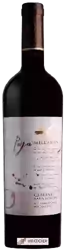 Wijnmakerij Millaman - Paya de Millaman Cabernet Sauvignon