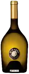 Wijnmakerij Miraval - Côtes de Provence Blanc