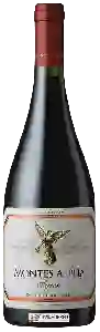 Wijnmakerij Montes - Syrah