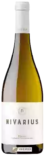Wijnmakerij Nivarius - Blanco