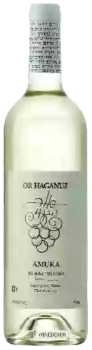 Wijnmakerij Or Haganuz - Amuka Blanc Blend (בלאן בעמוקה תַעֲרוֹבֶת)