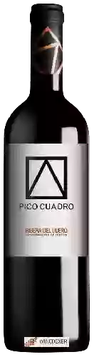 Wijnmakerij Pico Cuadro - Ribera del Duero