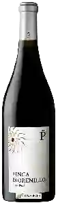 Wijnmakerij Celler Piñol - Finca Morenillo