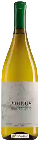 Wijnmakerij Prunus - Branco