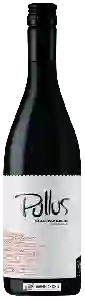 Wijnmakerij Pullus - Blaufränkisch