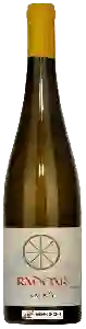 Wijnmakerij Radoar - Radoy