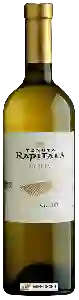 Wijnmakerij Tenuta Rapitalà - Grillo Sicilia