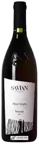 Wijnmakerij Savian - Pinot Grigio