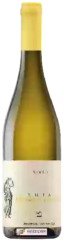 Wijnmakerij Semeli - Thea