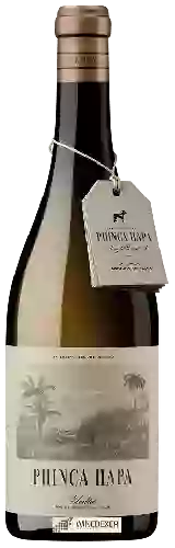 Wijnmakerij Struggling - Phinca Hapa Blanco