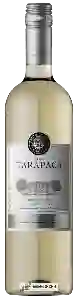 Wijnmakerij Tarapacá - Pinot Grigio