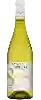 Domaine du Tariquet - Sauvignon - Semillon Côtes De Gascogne