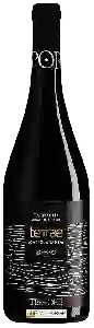 Wijnmakerij Tempore - Terrae Mas de Aranda Garnacha