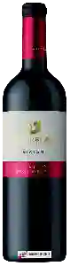 Wijnmakerij Teperberg - Vision Merlot