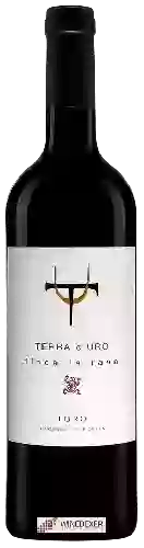 Wijnmakerij Terra d'Uro - Finca La Rana