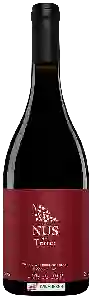 Wijnmakerij Vinyes del Terrer - Nus del Terrer