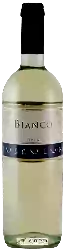 Wijnmakerij Tusculum - Bianco