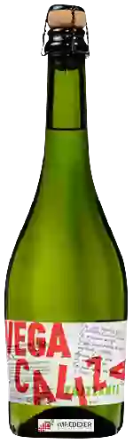 Wijnmakerij Vega Caliza - Frizzante