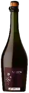 Wijnmakerij Vicentin - Rosado de Malbec