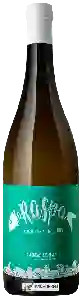 Wijnmakerij Viñedos Verticales - La Raspa